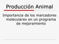 Producción Animal Importancia de los marcadores moleculares en un programa de mejoramiento.