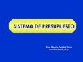 SISTEMA DE PRESUPUESTO