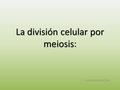La división celular por meiosis La división celular por meiosis: Lucía Coiduras Díaz.