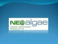 1. NUESTRA EMPRESA: 2. NUESTRA MOTIVACIÓN: ¿Por qué lo hacemos? ¿Quiénes somos y qué hacemos? 3. NUESTRAS CAPACIDADES: Neoalgae Micro Seaweed Products.