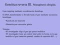 Genética reversa III. Mutagénesis dirigida.