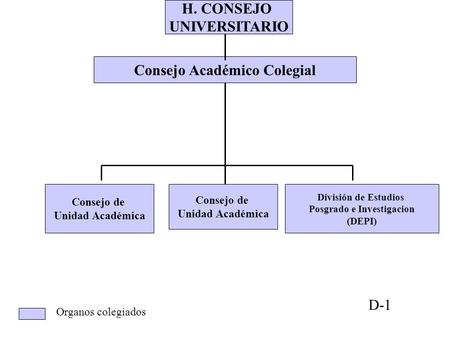 Consejo Académico Colegial H. CONSEJO UNIVERSITARIO Consejo de Unidad Académica Consejo de Unidad Académica División de Estudios Posgrado e Investigacion.