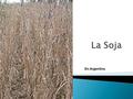 En Argentina  En este cuadro muestra donde se produce soja en la Argentina y el porcentaje de superficie sembrada.
