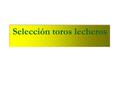 Selección toros lecheros. Cada seis meses, en Enero y Julio, el Departamento de Agricultura de los Estados Unidos calcula el valor genético de las vacas.