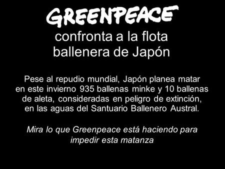 Confronta a la flota ballenera de Japón Pese al repudio mundial, Japón planea matar en este invierno 935 ballenas minke y 10 ballenas de aleta, consideradas.