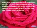Vale la pena cada espina, cada rosa, cada lágrima que riega lo que florecerá en sonrisa, porque la vida es maravillosa por ella misma; no importan las.