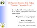 VII Reunión Regional de la Red de Pobreza y Protección Social Los desafíos de la institucionalización de las políticas y programas de reducción de la pobreza.