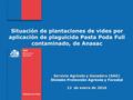 Subtitulo de la presentación en una línea Servicio Agrícola y Ganadero (SAG) División Protección Agrícola y Forestal 12 de enero de 2016 Situación de plantaciones.