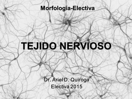 Morfología-Electiva TEJIDO NERVIOSO Dr. Ariel D. Quiroga Electiva 2015.