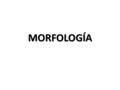 MORFOLOGÍA. CLASES DE MORFEMAS LOS MORFEMAS: unidades mínimas con significado dentro de una palabra. CLASES.