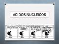 ACIDOS NUCLEICOS.