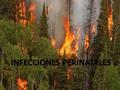 INFECCIONES PERINATALES INFECCIONES PERINATALES.