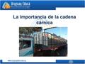 La importancia de la cadena cárnica. La cadena cárnica proporciona trabajo a gran cantidad de personas. Al tractorista que siembra la pastura y al trabajador.