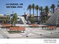 PLAN DIFERENCIADO HISTORIA Y CIENCIAS SOCIALES 4º MEDIO “LA CIUDAD CONTEMPORANEA” LA CIUDAD, UN SISTEMA VIVO.