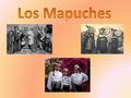 Los Mapuches.