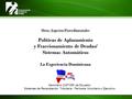 Otros Aspectos Procedimentales Políticas de Aplazamiento y Fraccionamiento de Deudas/ Sistemas Automáticos La Experiencia Dominicana Seminario CIAT/SRI.