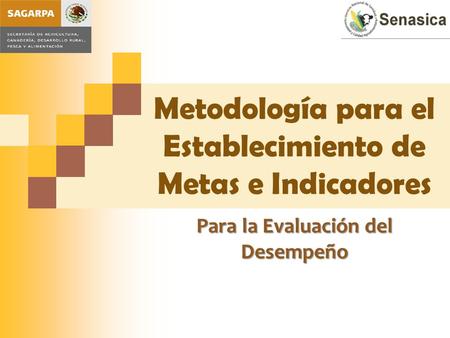 Metodología para el Establecimiento de Metas e Indicadores Para la Evaluación del Desempeño.