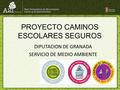 PROYECTO CAMINOS ESCOLARES SEGUROS DIPUTACION DE GRANADA SERVICIO DE MEDIO AMBIENTE.