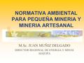 NORMATIVA AMBIENTAL PARA PEQUEÑA MINERIA Y MINERIA ARTESANAL M.Sc. JUAN MUÑIZ DELGADO DIRECTOR REGIONAL DE ENERGIA Y MINAS AEQUIPA.