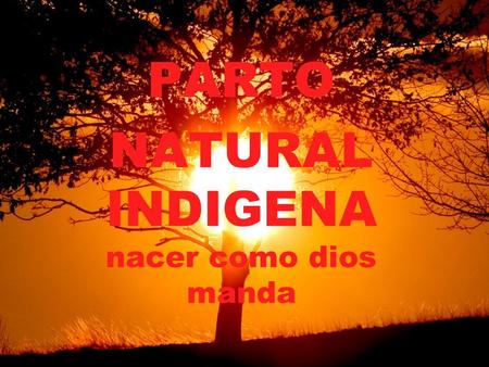 PARTO NATURAL INDIGENA nacer como dios manda. Introducción : Le daremos a conocer una pequeña reseña de cómo en nuestros antepasados daban a luz sus hijos.