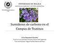 UNIVERSIDAD DE MÁLAGA MÁSTER EN ANÁLISIS Y GESTIÓN AMBIENTAL Sumideros de carbono en el Campus de Teatinos Carlos Baquedano González Tutor en la Universidad: