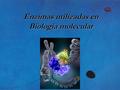 Enzimas utilizadas en Biología molecular. Enzima AplicacionesMolde Degrada DNA dc, sc. A bajas concentraciones genera nicks Sondas, Nick translation Dnasa.