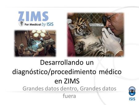 Desarrollando un diagnóstico/procedimiento médico en ZIMS Grandes datos dentro, Grandes datos fuera.