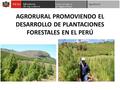 AGRORURAL PROMOVIENDO EL DESARROLLO DE PLANTACIONES FORESTALES EN EL PERÚ.