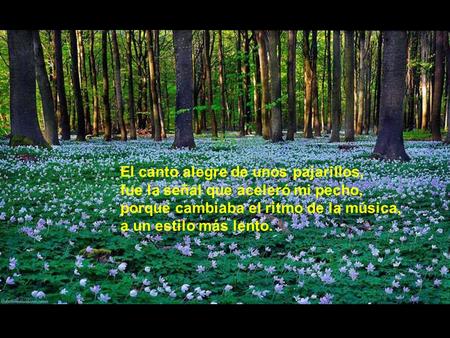 El canto alegre de unos pajarillos, fue la señal que aceleró mi pecho, porque cambiaba el ritmo de la música, a un estilo más lento.