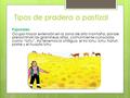 Tipos de pradera o pastizal
