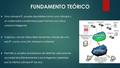 FUNDAMENTO TEÓRICO  Una cámara IP, puede describirse como una cámara y un ordenador combinados para formar una única unidad inteligente.  Captura y envía.