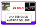 El Mate UNA BEBIDA DE AMERICA DEL SUR Propiedades y características de la planta…