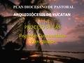 PLAN DIOCESANO DE PASTORAL. ARQUIDIÓCESIS DE YUCATAN PROCESO DE LAS Pequeñas Comunidades Parroquiales.