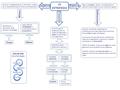 LA ESTRATEGIA Esencia Elegir una posición valiosa y única afianzada en sistemas de actividades que son difíciles de igualar Definiciones Conjunto consciente.