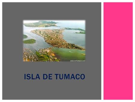 ISLA DE TUMACO.  La Ensenada de Tumaco se encuentra ubicada al sur del departamento de Nariño.  Su nombre se debe a los importantes hallazgos arqueológicos.