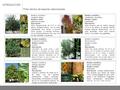 INTRODUCCIÓN Ficha técnica de especies seleccionadas
