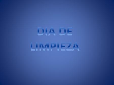 DIA DE LIMPIEZA.