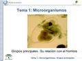 Tema 1: Microorganismos. Grupos principales Tema 1: Microorganismos Grupos principales. Su relación con el hombre.