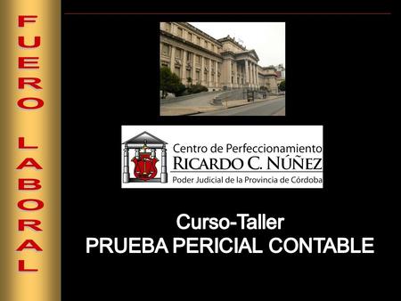 ACTUACION EN SEDE JUDICIAL DEL CONTADOR PUBLICO, EN LA PRUEBA PERICIAL CONTABLE DISERTANTES Cra. Estela M. ROPOLO Perito de Control Cr. Hugo M. GIANASI.