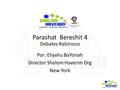 Parashat Bereshit 4 Debates Rabínicos Por: Eliyahu BaYonah Director Shalom Haverim Org New York.
