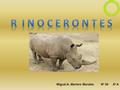 Miguel A. Marrero Morales8º ANº 30. Datos Rinoceronte blanco Rinoceronte negro Rinoceronte de Java Rinoceronte de la India Rinoceronte de Sumatra Videos.