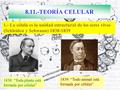 1.- La célula es la unidad estructural de los seres vivos (Schleiden y Schwann) 1838-1839 8.11.-TEORÍA CELULAR 1838: “Toda planta está formada por células”