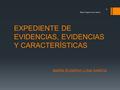 EXPEDIENTE DE EVIDENCIAS, EVIDENCIAS Y CARACTERÍSTICAS MARÍA EUGENIA LUNA GARCÍA María Eugenia Luna García 3.