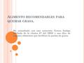 A LIMENTO RECOMENDABLES PARA QUEMAR GRASA. He consultado con una naturista Teresa Zuñiga jubilada de la clínica #7 del IMSS y nos dice de algunos alimentos.