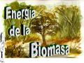 ¿ Qué es la energía de la biomasa? energía renovable energía renovable materia orgánica producida en producida en la superficie terrestre de tipo específico.