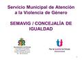 1 Servicio Municipal de Atención a la Violencia de Género SEMAVIG / CONCEJALÍA DE IGUALDAD Ayuntamiento de Orihuela Concejalía de Igualdad C/ Ruiz Capdepón,