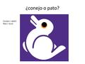 ¿conejo o pato? Conejo = rabbit Pato = duck. Mi dormitorio Intencion: to learn words to describe items in a bedroom lunes diez de febrero.