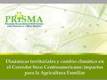 Dinámicas territoriales y cambio climático en el Corredor Seco Centroamericano: impactos para la Agricultura Familiar.