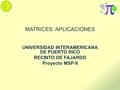 MATRICES: APLICACIONES UNIVERSIDAD INTERAMERICANA DE PUERTO RICO RECINTO DE FAJARDO Proyecto MSP-II.