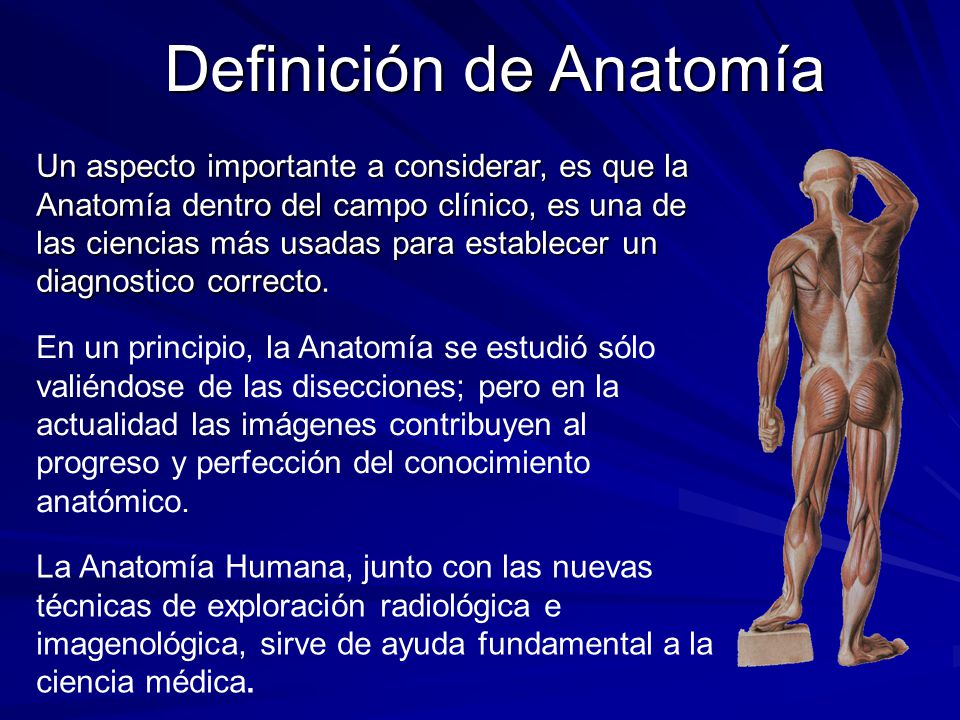 Definición de Anatomía - ppt video online descargar